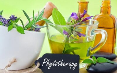 Fitoterapia aplicada: beneficios de las plantas medicinales