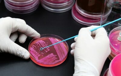 Procesos microbiológicos: definición, tipos y etapas fundamentales
