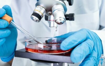 ¿Qué hace un microbiólogo clínico? Conoce su rol