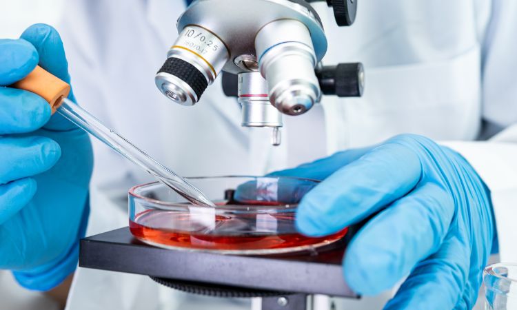 Descubre qué hace un microbiólogo clínico, sus funciones en laboratorios y hospitales, y su papel en el diagnóstico de enfermedades.